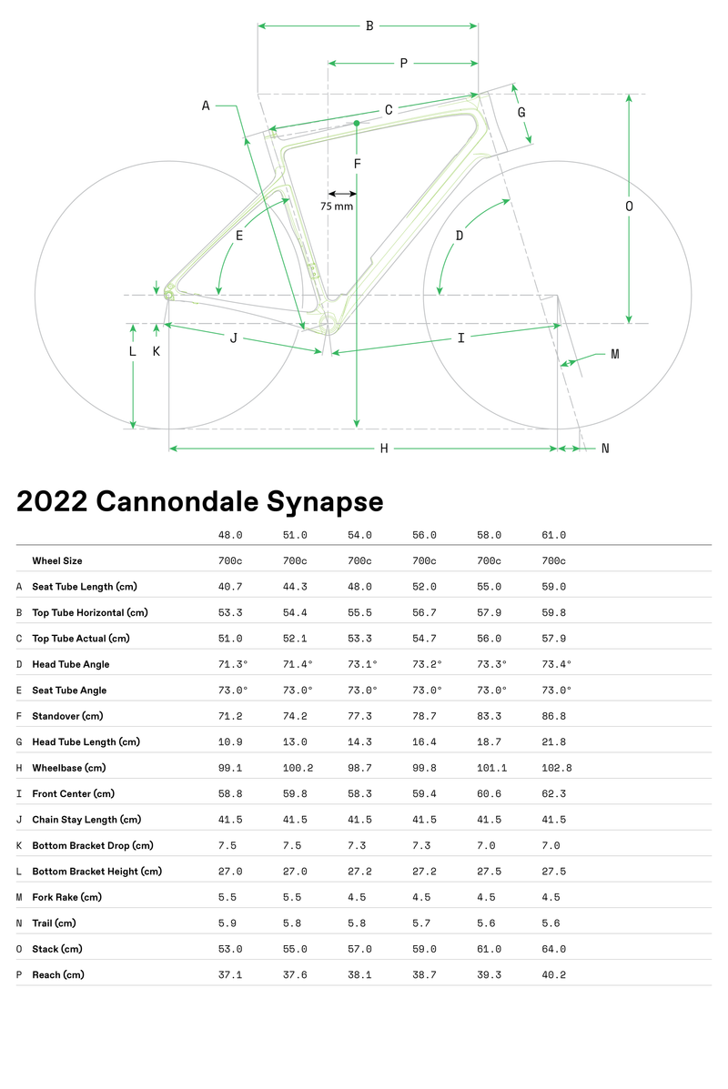 Load image into Gallery viewer, Cannondale - Synapse Carbon 2 RLE - Ultegra Di2 -
